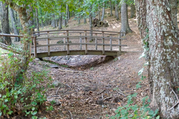 Structure en bois entourée de châtaignier vert sur une rivière sèche — Photo