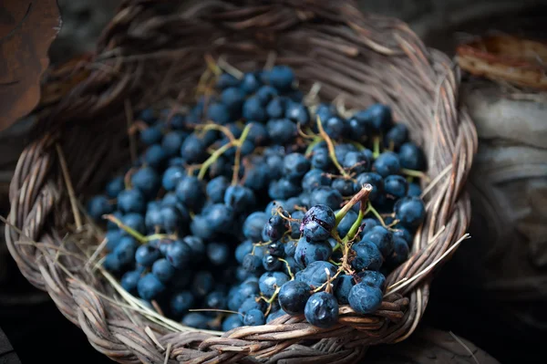 Uvas — Foto de Stock