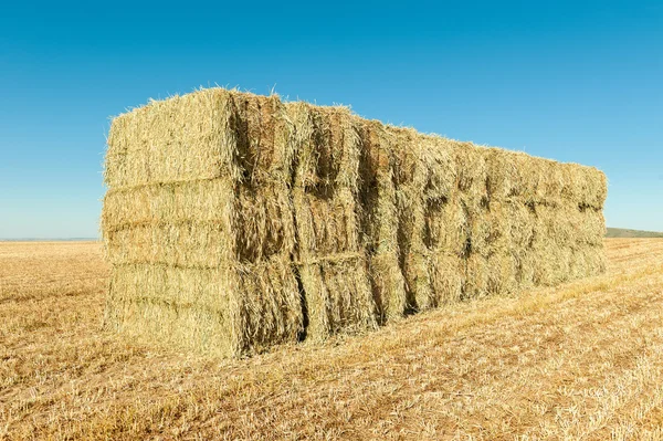 Balas de trigo — Foto de Stock