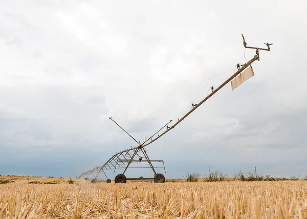 Irrigazione del campo — Foto Stock