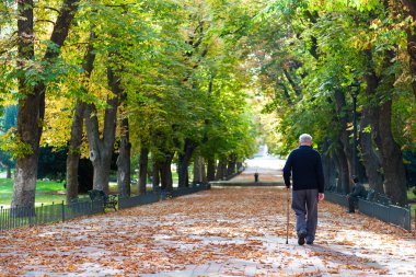 Park Güz