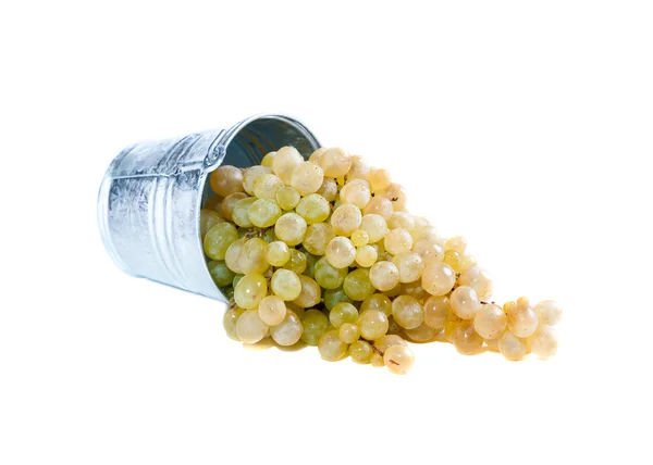 Grapes on white background — Stock Photo, Image