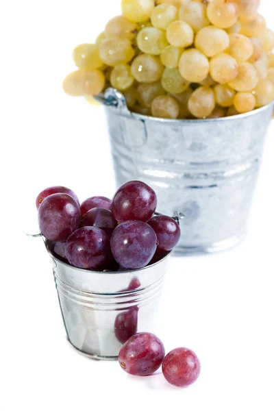 Grapes on white background — Stock Photo, Image