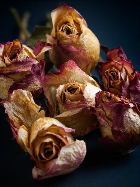 Ainda vida de rosas secas com cor saturada em diferentes origens — Fotografia de Stock