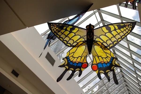 カラフルな紙の蝶の天井に — ストック写真