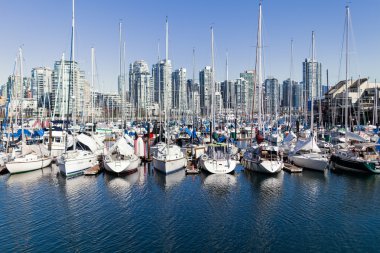 Teknelerden false Creek