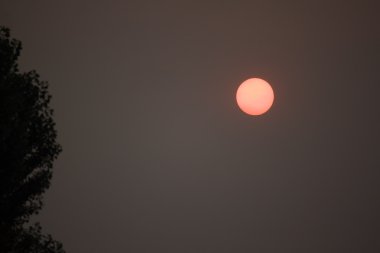 Kıyamet rezilce dumanlı gri gökyüzü güneşte