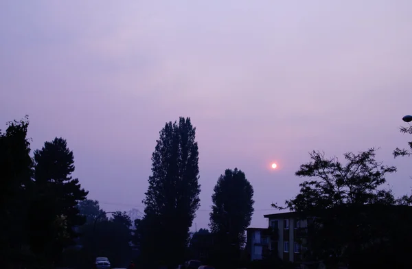 Apocalyptische zon in een treurig rokerige grijze lucht 3 — Stockfoto