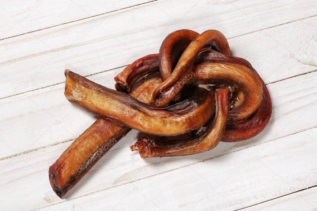 Big dried beef pizzle used as natural chewy treats for dogs, sophisticatedly wrapped, on white wooden background. Dehydrated foods, bull penis. Indoors, copy space.
