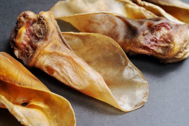 Kuru köpek maması olarak kullanılan üç büyük parça kurutulmuş sığır kulağı. Gri arkaplan, kapat, boşluğu kopyala.