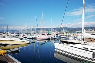 Bir sürü tekne ve gemi, marinada yüzen gemi. Mavi deniz manzarası, tatil köyü. Liman ve yelkenliler, demirli. Açık hava, boşluğu kopyala.