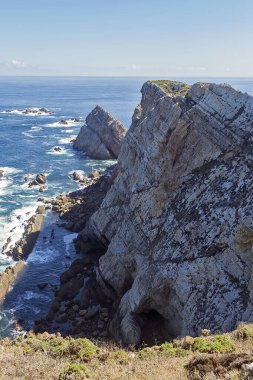 İspanya 'nın Asturias eyaletinde bezelye pelerini