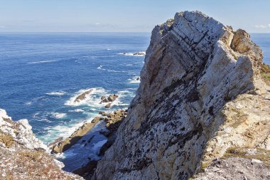 İspanya 'nın Asturias eyaletinde bezelye pelerini