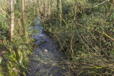 İspanya 'nın Vizcaya eyaletindeki Sondika kasabası