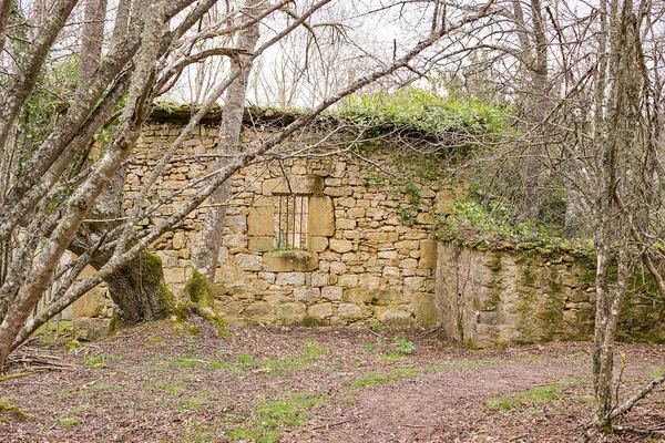 スペイン 植生や木が成長している古い放棄された町の遺跡 — ストック写真