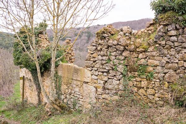 Spanya Bitkilerin Ağaçların Yetiştiği Terk Edilmiş Eski Bir Kasabanın Kalıntıları — Stok fotoğraf