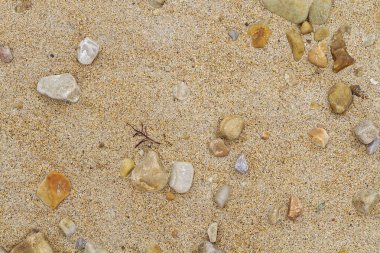 doku kum ve taşların sahilde