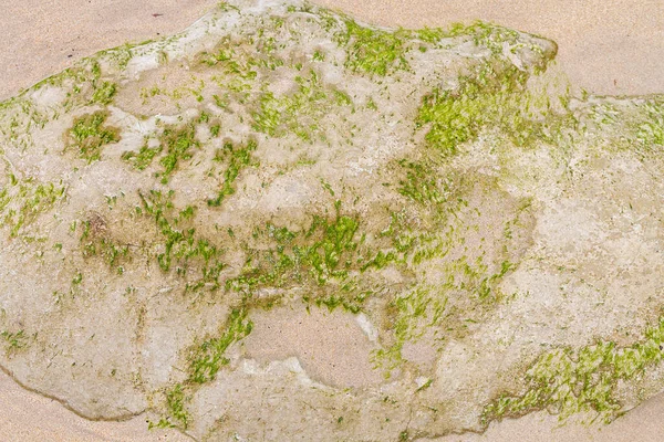 Konsistens Sand Och Stenar Stranden — Stockfoto