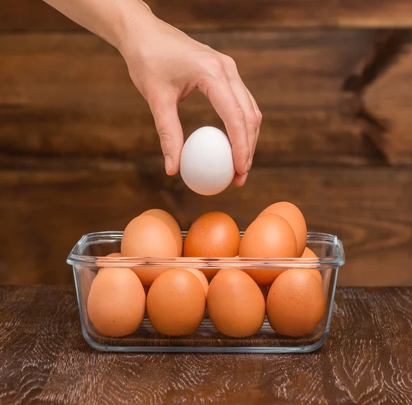 Mano sosteniendo un huevo — Foto de Stock