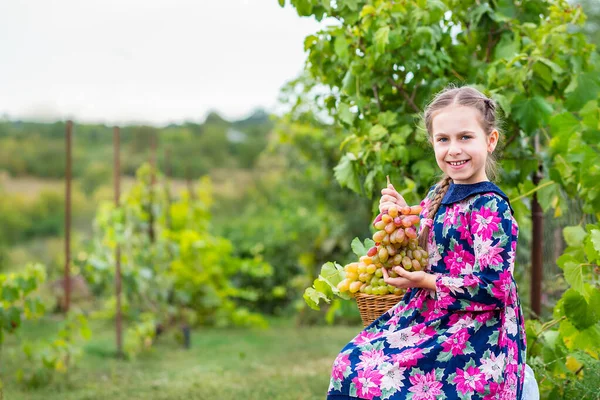 Gadis Kecil Dengan Anggur Kebun Happy Cute Bayi Makan Anggur — Stok Foto