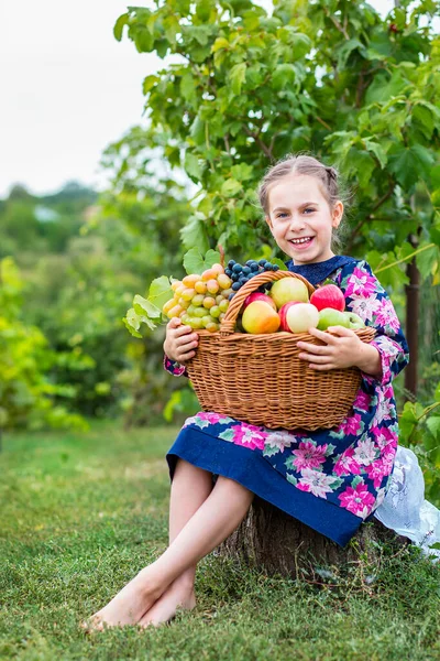 Little Girl Basket Red Apples Grapes Garden — Stock Photo, Image