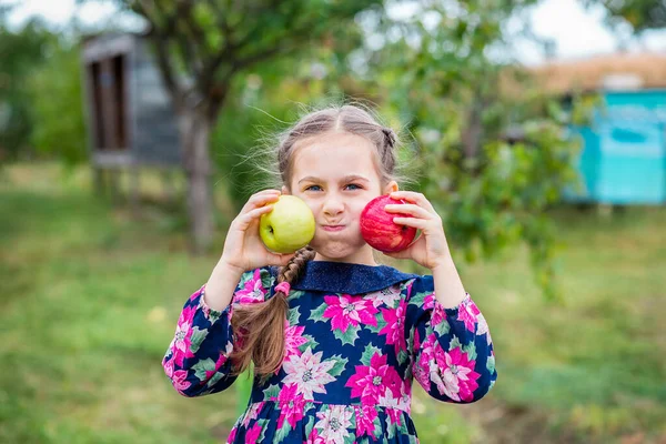 Beautiful Girl Apples Her Arms Garden Farm — Stock Photo, Image