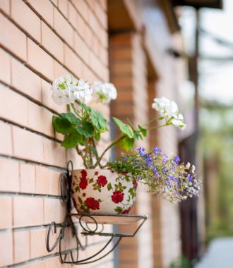 Kırmızı Güllü Çiçek Saksısı ve Duvarda Beyaz Sardunyalar. Kırmızı gülleri ve beyaz sardunyaları olan seramik saksı tuğla duvardaki dekoratif metal tutucudan sarkıyor ve rahat bir şehir bahçesi hissi yaratıyor..