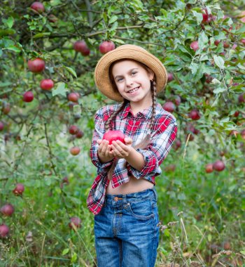 Neşeli kız arka planda duruyor kırmızı elmalı bir meyve bahçesi, tatlar, atıştırmalıklar, vitaminler, organik meyveler. O, kareli gömlek ve şapka giydi. Aile pikniği, sonbahar elma hasadı.