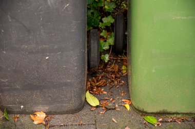 Kalan atık ve kağıt atıkları için sonbahar yapraklı çöp bidonları