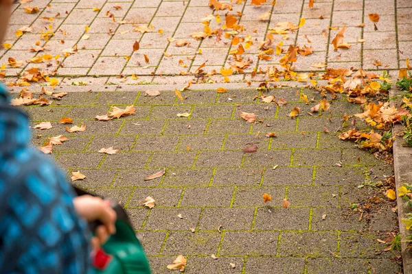 Enlèvement Des Feuilles Automne Sur Trottoir Avec Souffleur Feuilles — Photo