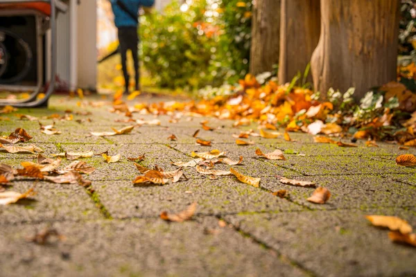 Herbstlaub Auf Dem Gehweg Mit Laubbläser Entfernen — Stockfoto