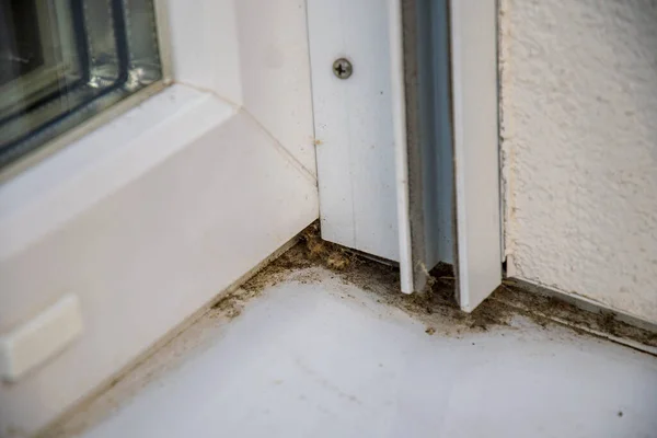 Dirty Windowsill Dirt Corners — Stock Photo, Image