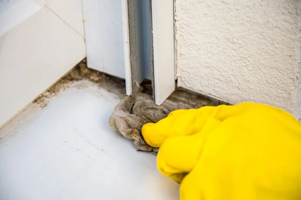 Cleaning Windows Yellow Rubber Gloves — Stock Photo, Image