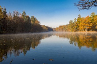 Sonbahar ormanlarıyla dolu bir gölün su yüzeyini yansıtıyor.