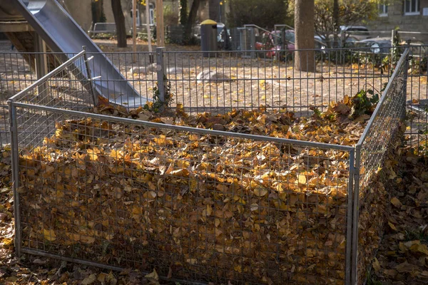 Laubcontainer Der Stadt Zum Laubsammeln — Stockfoto