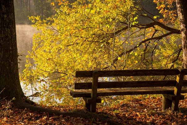 empty wooden bench in the forest at a lake