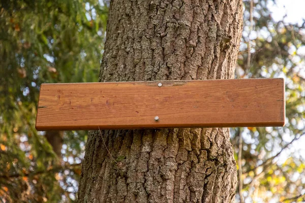 empty wooden sign on a tree for walks with text space