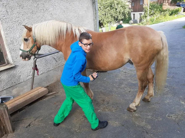 Niño Acicalando Caballo Frente Establo — Foto de Stock