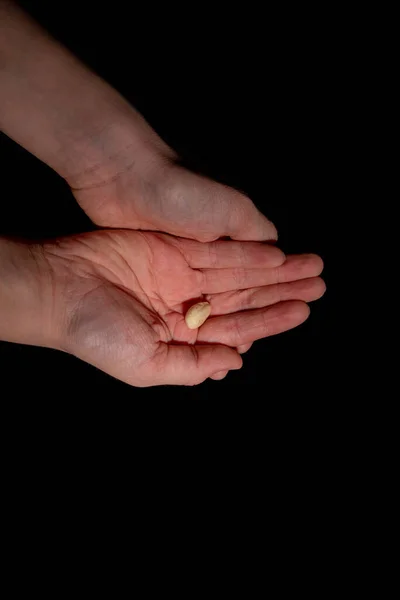 Single Tonsil Child Open Palm — Stock Photo, Image