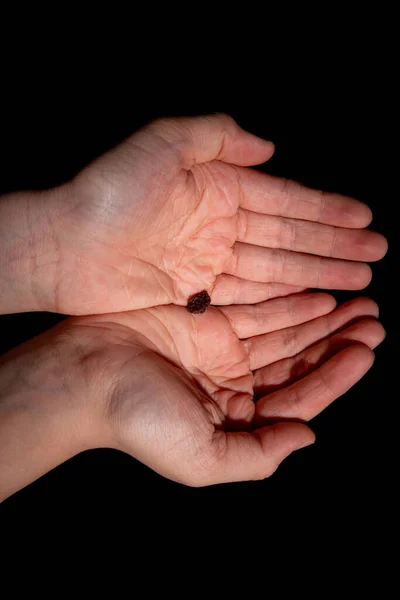 Single Raisin Hand Child — Stock Photo, Image