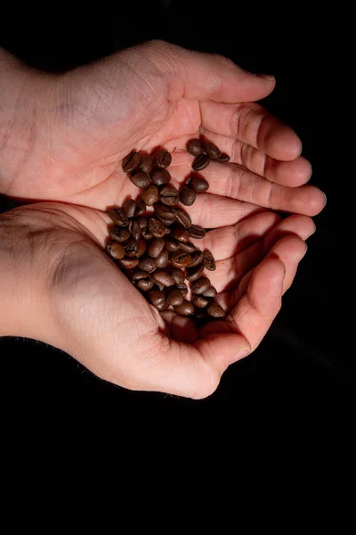 Many Coffee Beans Empty Children Hands — Stock Photo, Image