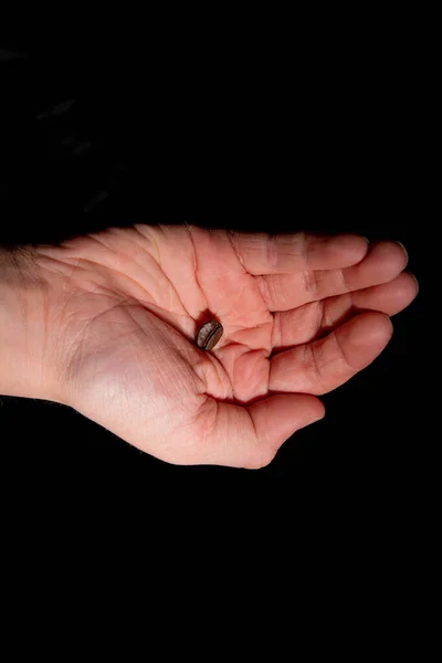 Single Coffee Bean Empty Child Hands — Stock Photo, Image