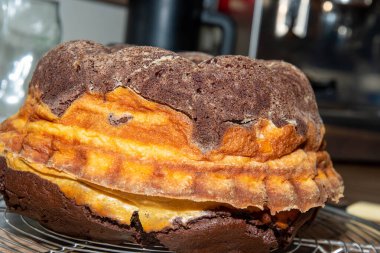 Kalıptaki sağlıklı malzemelerden elde edilen mermer pasta.