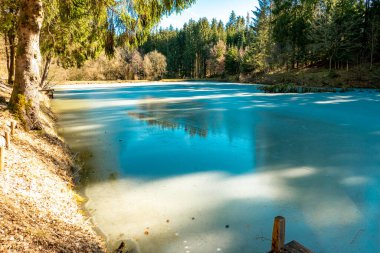 Ormanda buz gibi yüzeyi olan donmuş göl.