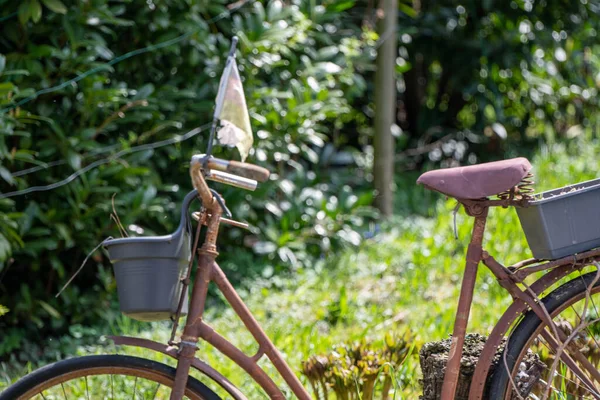 Altes Rosafarbenes Fahrrad Als Dekoration Garten — Stockfoto