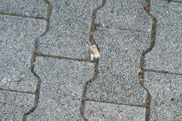 Cigaretter Skräp Gatan — Stockfoto