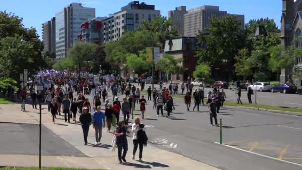 Anti Covid máscaras e protesto de segurança no Canadá — Vídeo de Stock