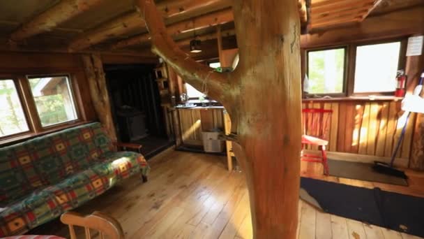 Inside an off grid mini house in the forest — Stock Video