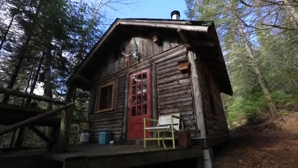 Petite maison de forêt confortable dans les bois — Video