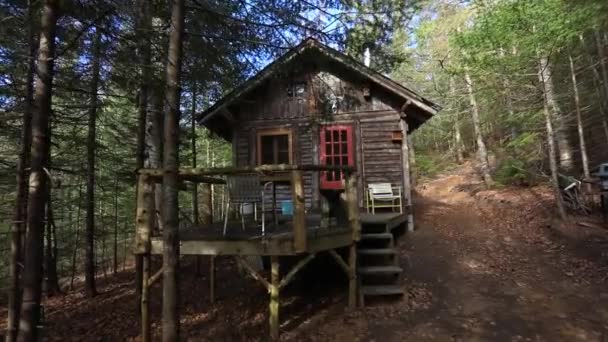 Gezellig boshuisje in het bos — Stockvideo